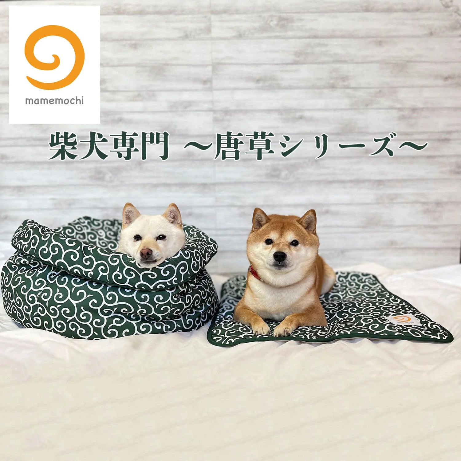 mamemochi – PET LIFESTYLE MOFF