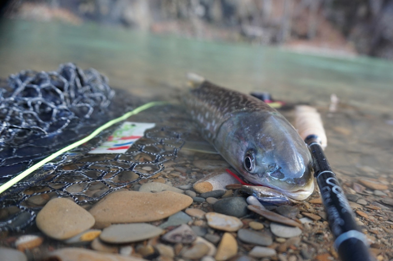 ヘリテイジマスターベスト｜ニュース（総合ブログ） ｜Casket カスケット
