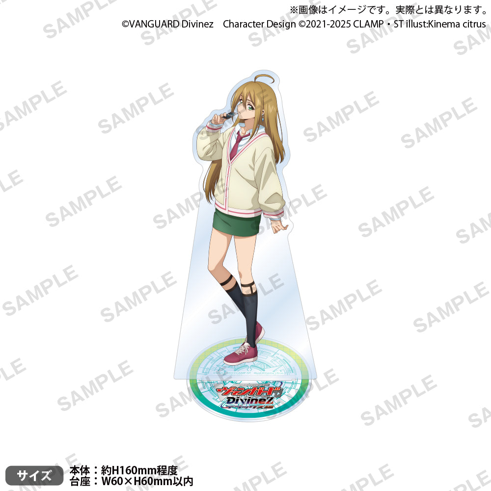 VGDivinezDX_AS_9_ari.jpg?v=