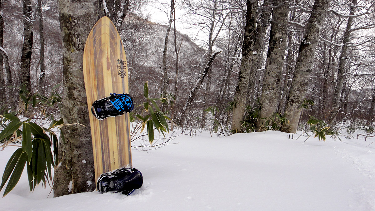 TTSS BIG FISH Outline Core - 土と雪と: