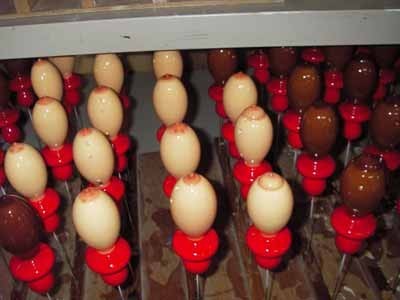 発売告知 ティート ジャンボ・フィッシュ・パシファイヤー: 根掘り葉