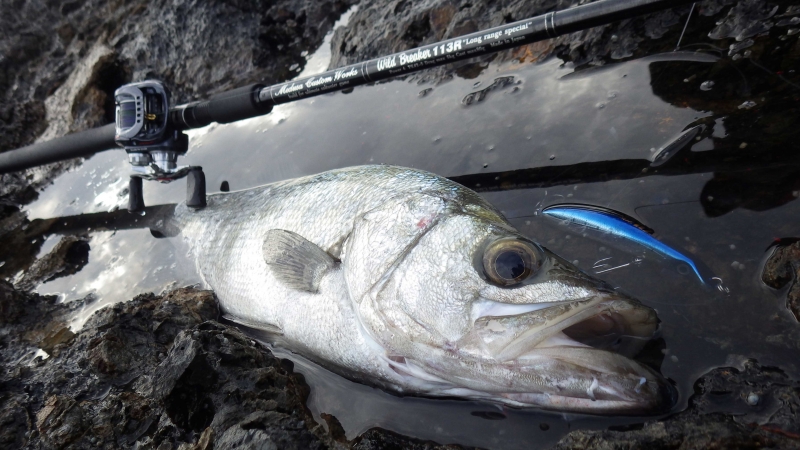 ☆MCワークス WB113R/B SP 商品説明☆ | UZU fishing trip