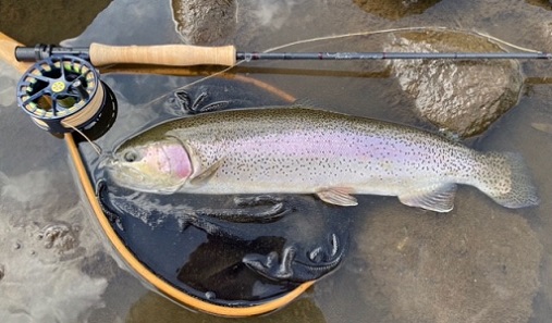 SCOTT（スコットフライロッド）、CENTRICセントリックのご紹介