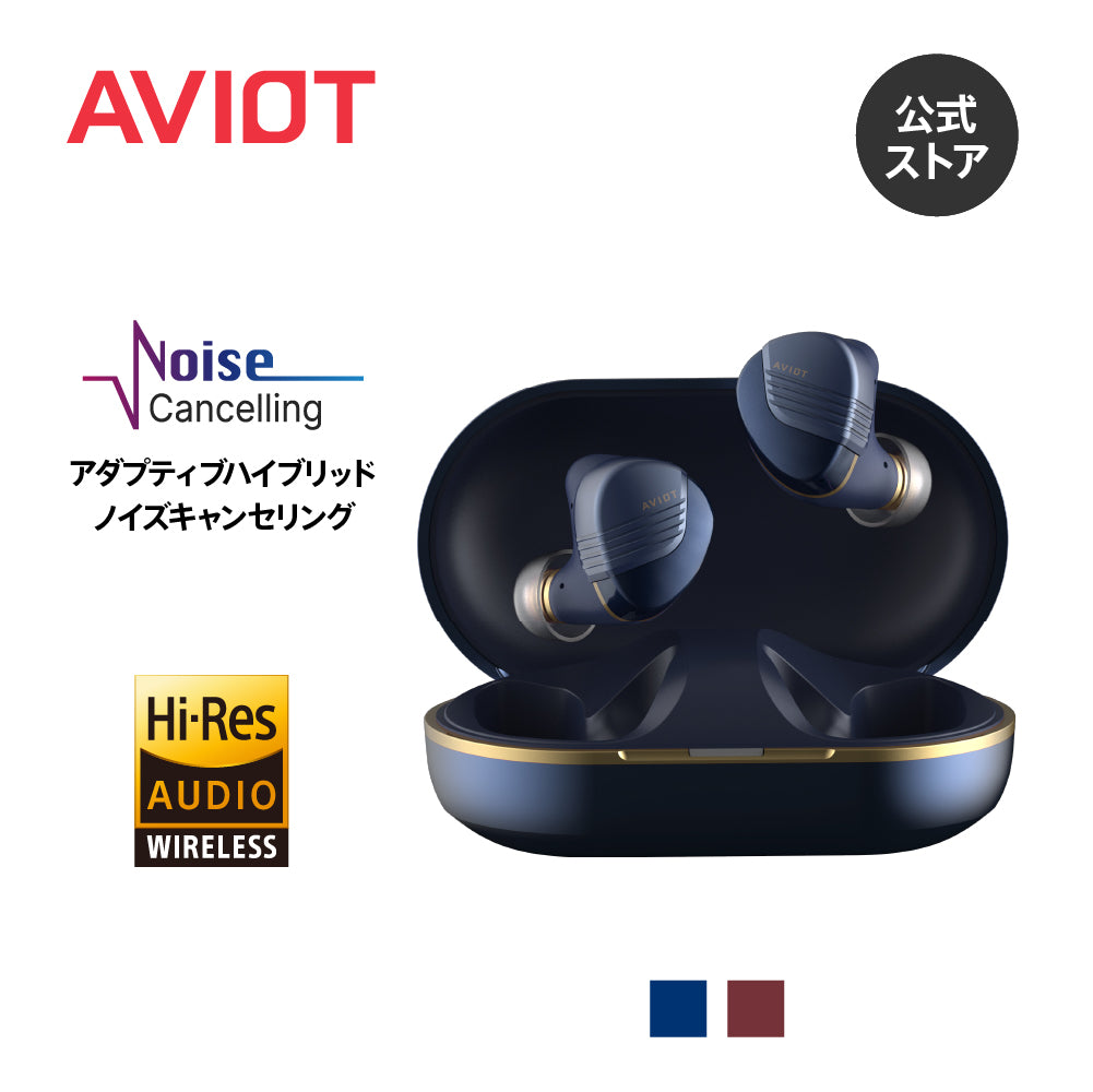 AVIOT TE-W1｜コアキシャル3Dドライバー搭載・高音質完全ワイヤレス