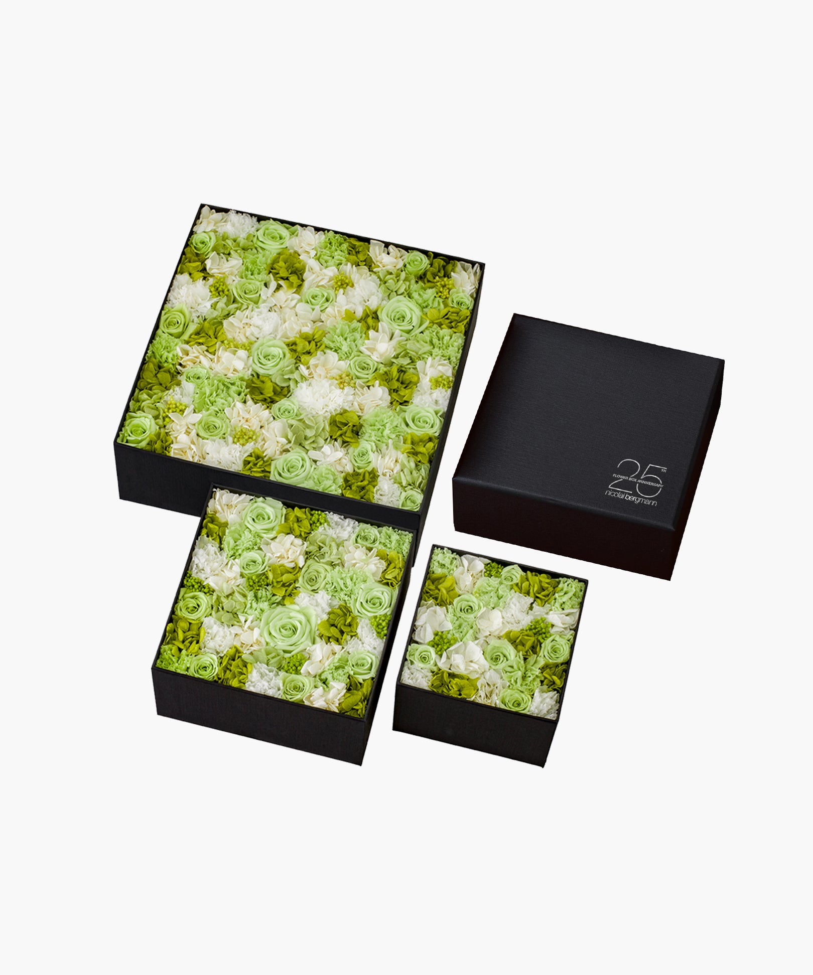 Cool Breeze（クール ブリーズ）