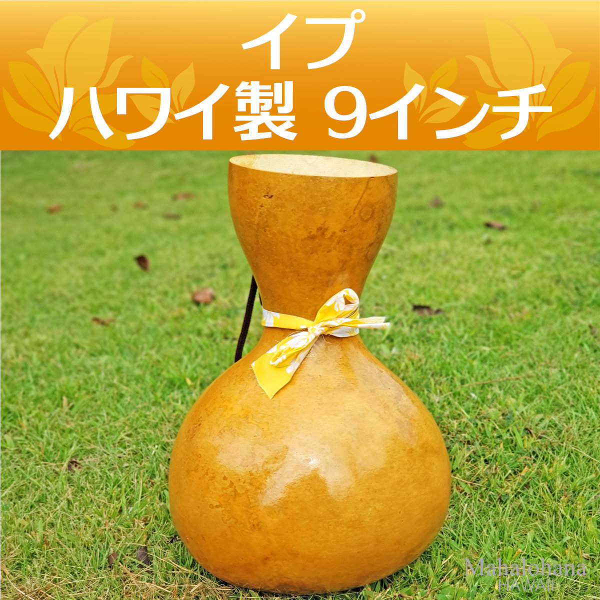 フラダンス楽器｜イプ・ヘケ・オレ ハワイ製 Lサイズ(9インチ) 349gの