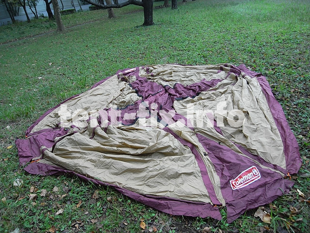 コールマン ドームスクリーンタープ/380 一人で設営する方法