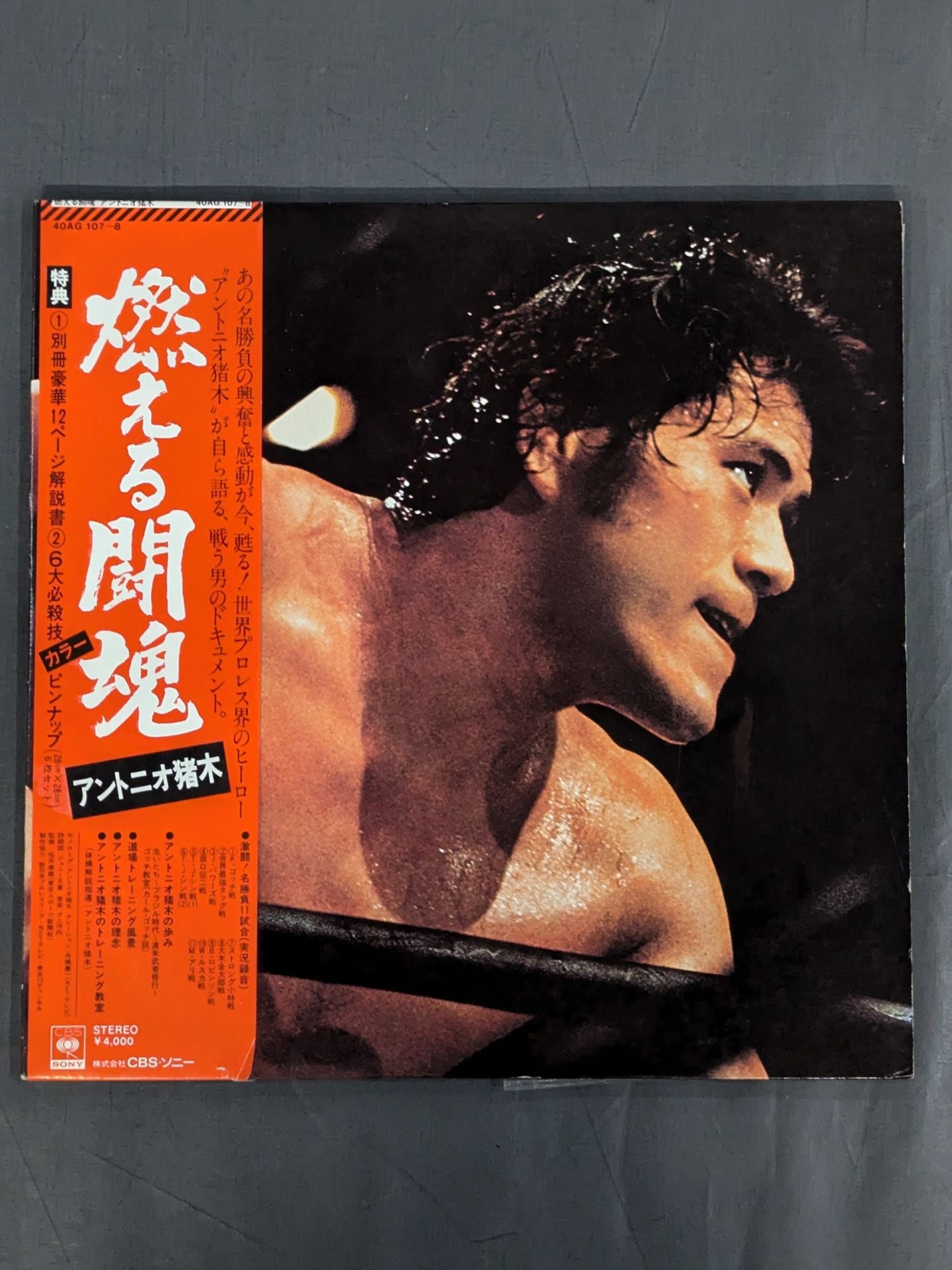 燃える闘魂 アントニオ猪木 – 闘道館