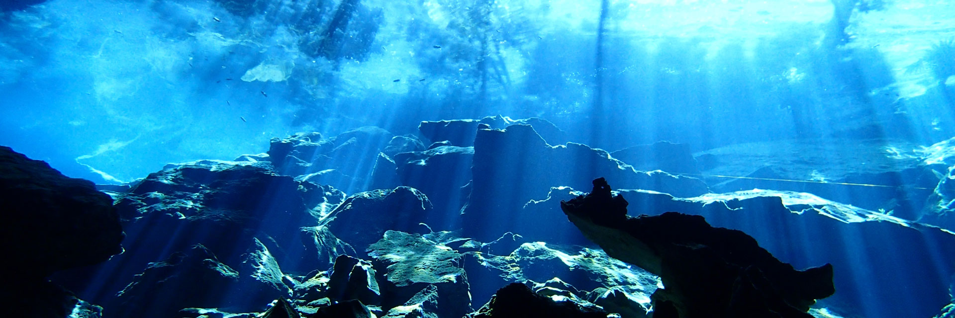 セノーテとは？ | WaterSportsCancun Cenote Diving