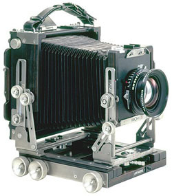 エボニー of ワイズクリエイト