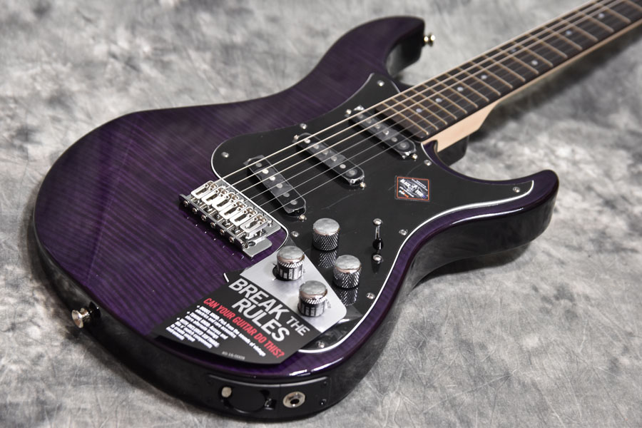 国内限定20本のレアなやつ!! | イシバシ楽器スタッフブログ