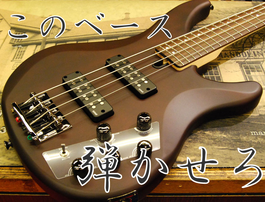 このベース弾かせろ！YAMAHA TRBX504 | イシバシ楽器スタッフブログ