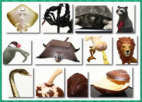 松本人志 世界の珍獣 第1弾