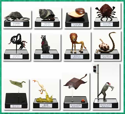 松本人志 世界の珍獣 第1弾