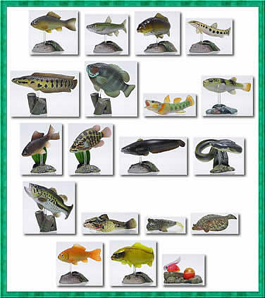 原色淡水魚図鑑2