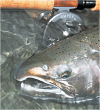 KIRO World -FLY FISHING-