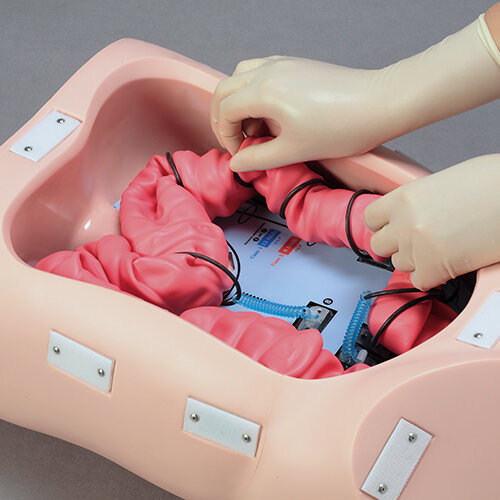 大腸内視鏡トレーニングモデル | 京都科学