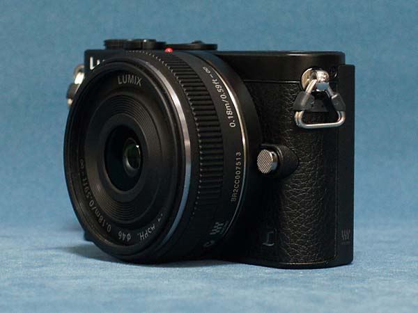 パナソニック Panasonic LUMIX DMC-GMの徹底レビュー ミラーレスカメラ