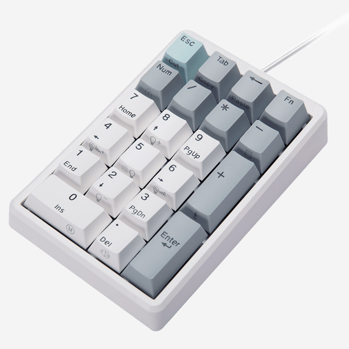 NiZ テンキーボード バックライト付き 静電容量無接点方式 21キー