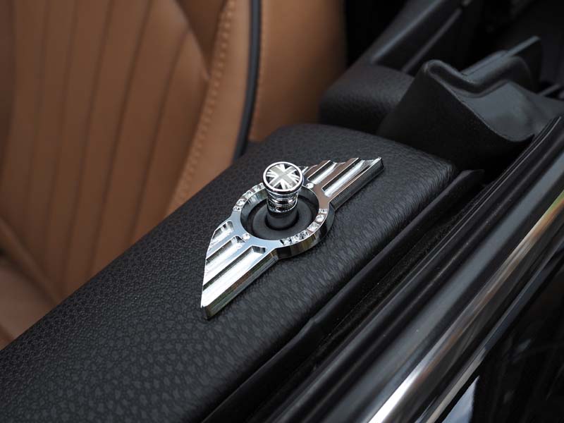 MINI ドアロックピン【ブラックジャック】