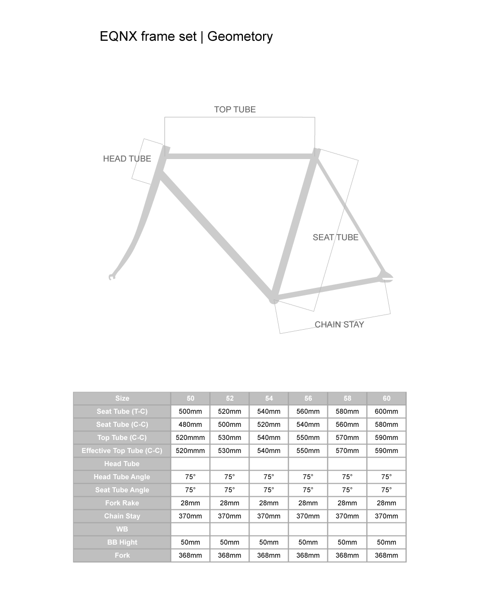 LEADER Bike - EQNX Frame set 2014 - (1-1/8