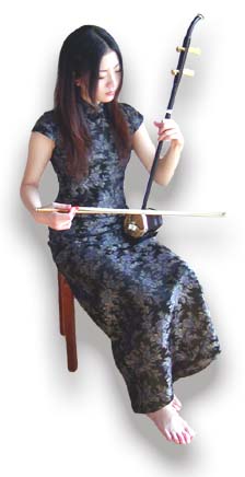 二胡 中国楽器 通販 正規輸入販売品 29800円