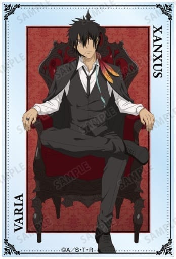 Collectible Cards/Card]Acrylic Card - Reborn! - Xanxus | Buy from