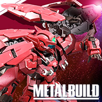 METAL BUILD 【抽選販売】ガンダムエクシア (10th ANNIVERSARY EDITION