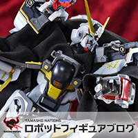METAL BUILD クロスボーン・ガンダムX2 | 魂ウェブ