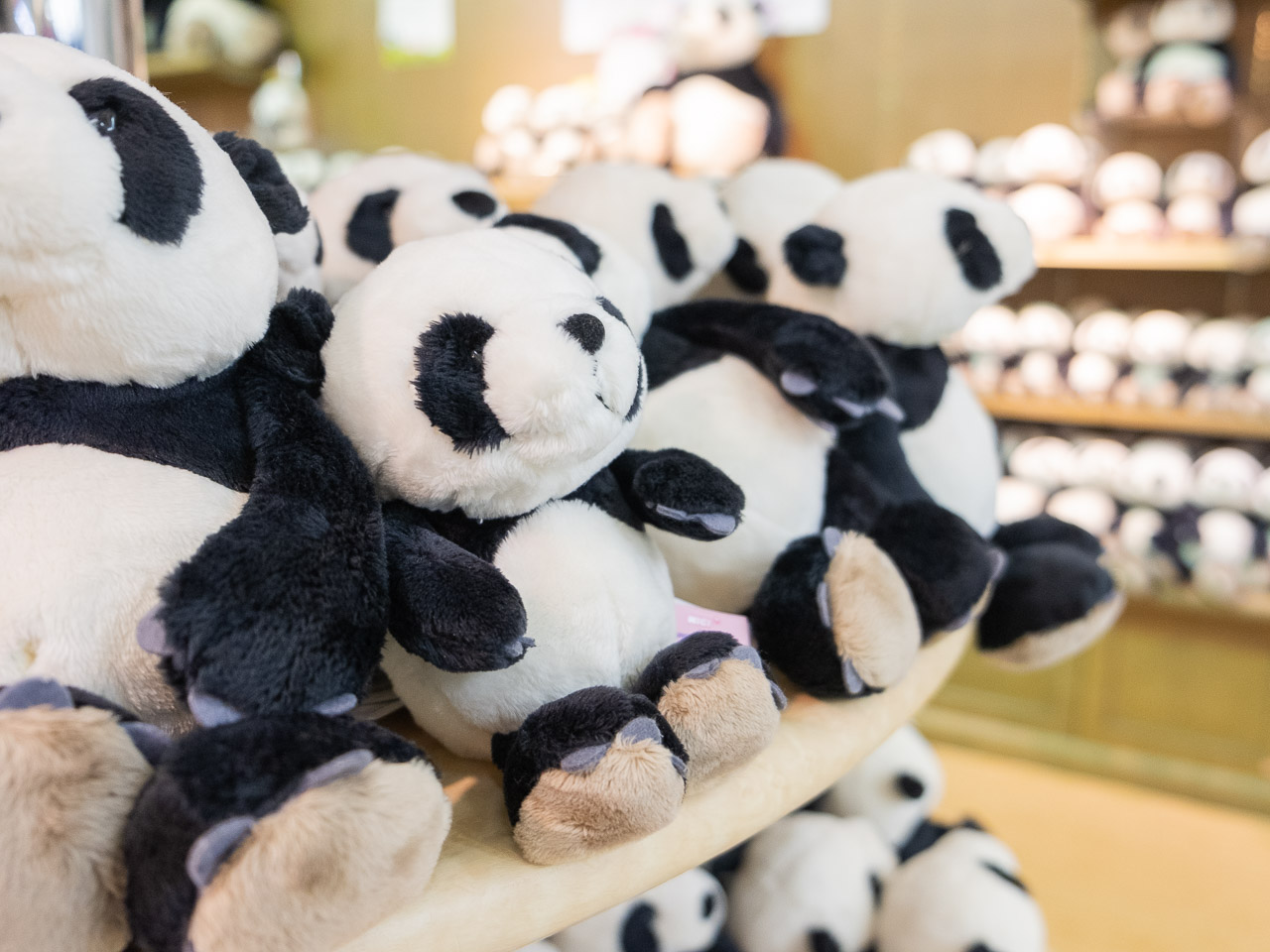 パンダ土産だらけ！グッズにスイーツ＠アドベンチャーワールドがすごい