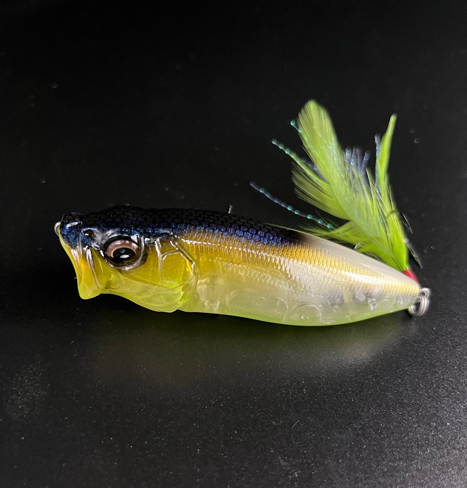 Megabass Popmax (SP-C) FA