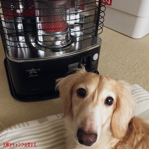 ★新品 未使用 冬キャンプ♪ 黒 アラジン AKP-S248 石油ストーブ 新品未使用 アラジン 石油ストーブ AKP-S248 災害時にも｜Yahoo!フリマ