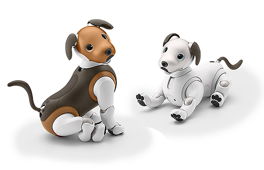 aiboの誕生から5年！ 2023年ニューカラーモデル『aibo エスプレッソ