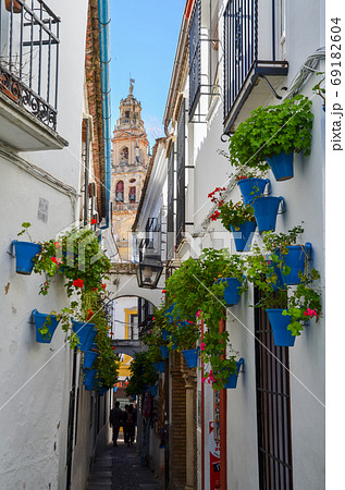 コルドバ ユダヤ人街とアミナールの塔（スペイン・コルドバ）の写真