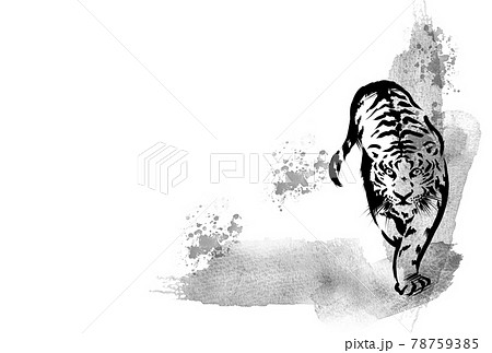 手描きの虎 水墨画風のイラスト素材 [78759385] - PIXTA