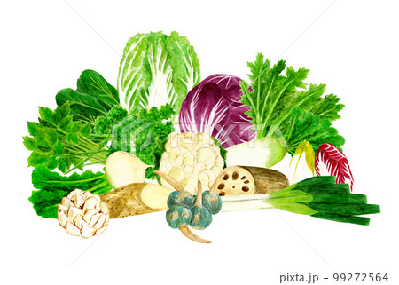 手描き水彩の重ねた冬野菜イラストのイラスト素材 [99272564] - PIXTA