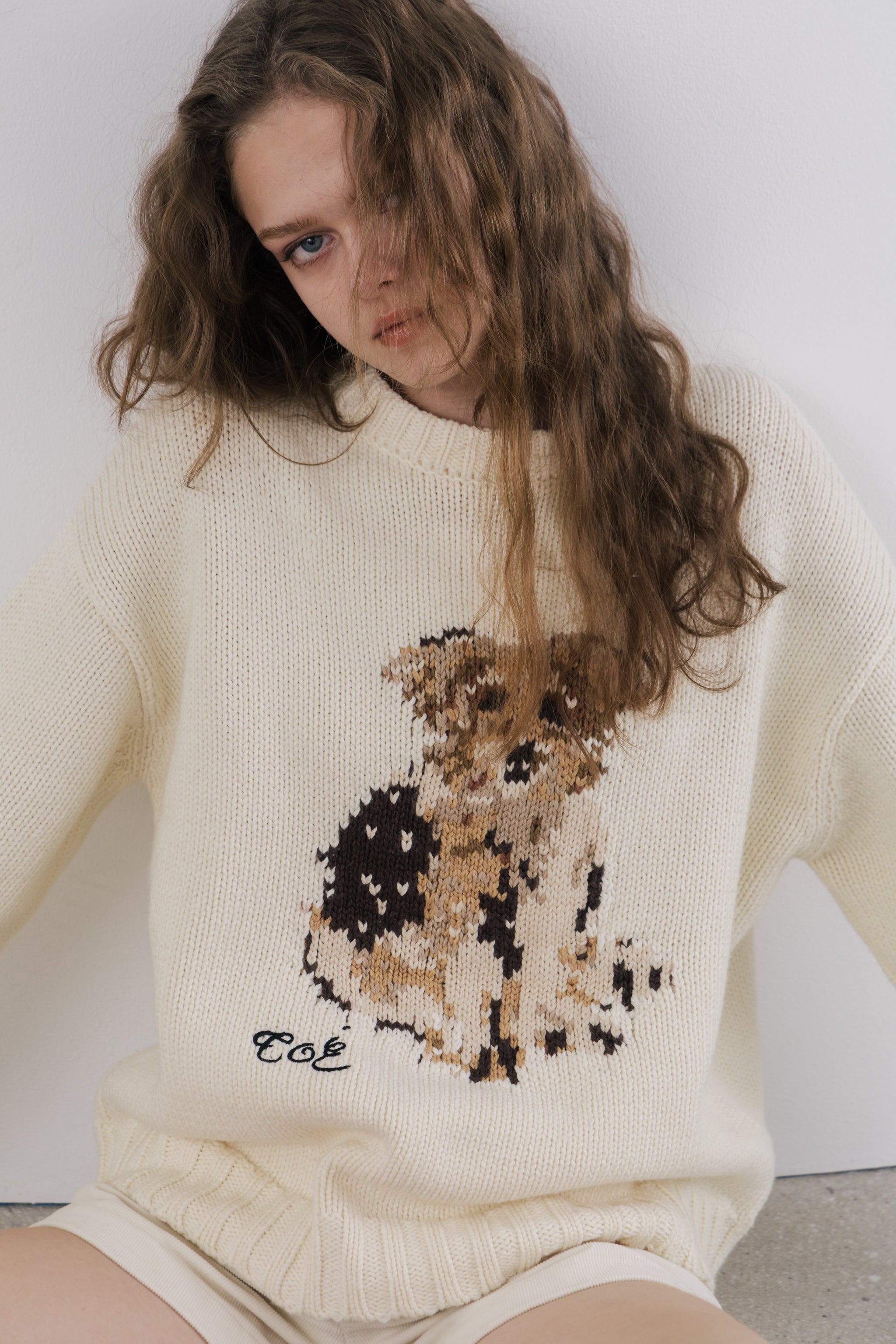 Schloss Dog Knit – THE TOÉ