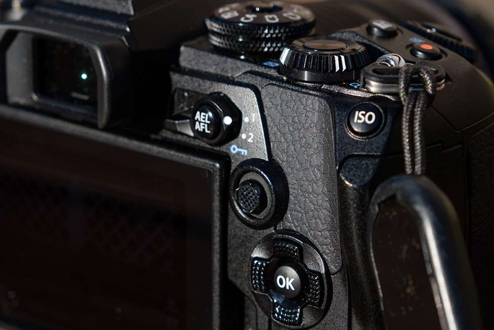 レビュー】あらゆるシチュエーションで仕事をこなす優秀なE-M1 Mark III