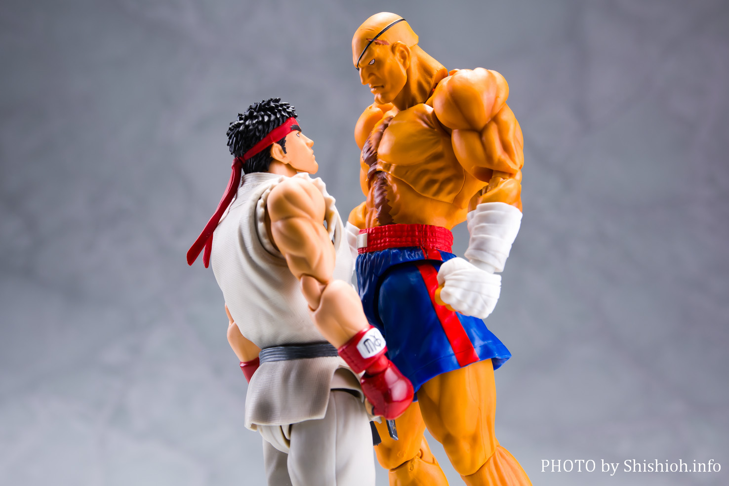 レビュー】 S.H.Figuarts サガット