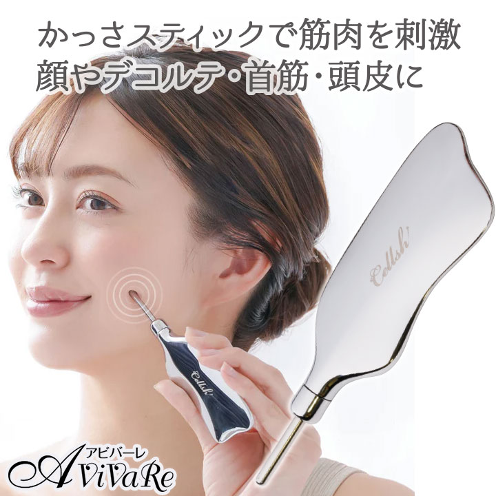 楽天市場】【ふるさと納税】美顔器 EKATO. ボディ メディテーション