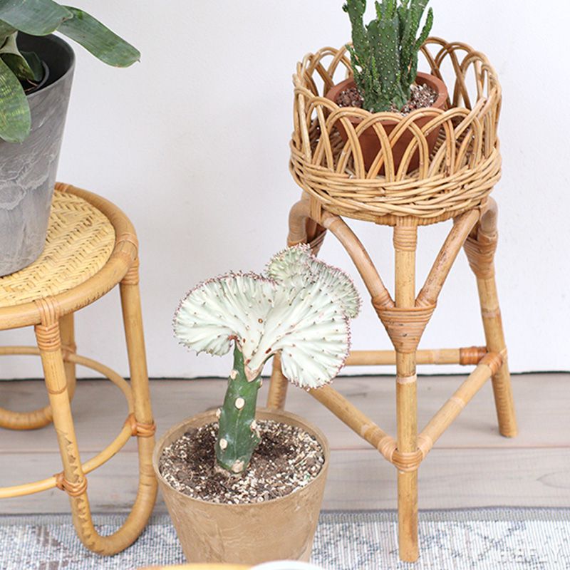 楽天市場】フラワースタンド プランタースタンド フラワーラック