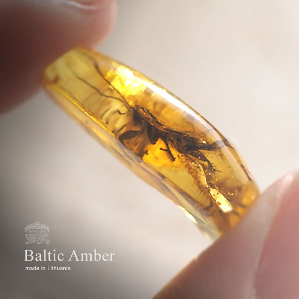 楽天市場】【バルト海の琥珀】虫入り琥珀 ルース こはく ギフト 一点