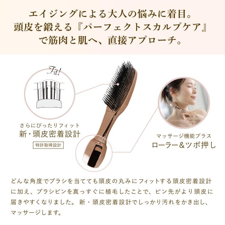 楽天市場】スカルプ ブラシ【A. GLOBAL公式】THE BRASHU REVO(ザ