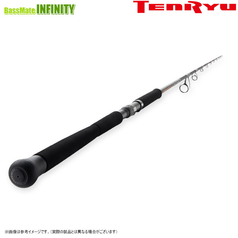 天龍 POWER MASTER Heavy Core PMH110H (ロッド・釣竿) 価格比較