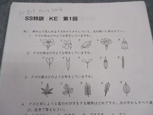 楽天市場】SAPIX サピックス SS特訓 慶應コース KE 理科 第1~11回