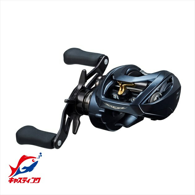 ダイワ スティーズ A II TW 1000 (リール) 価格比較 - 価格.com