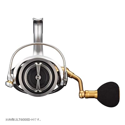 楽天市場】ダイワ(DAIWA) スピニング 21 フリームス LT4000-CXH