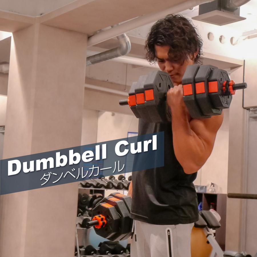 楽天市場】八角 ダンベル 20kg 2個セット 合計40kg バーベル プレート