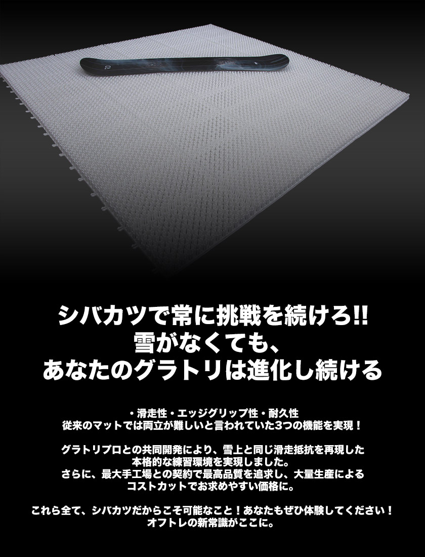 楽天市場】シバカツ エキスパートセット 30枚セット スノボオフトレ