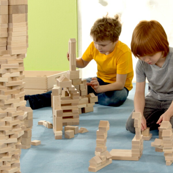 楽天市場】Dusyma デュシマ社 フレーベル積木 (大) 208ピース〜ドイツ